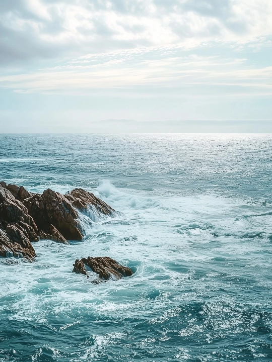 Senteur Bord de Mer