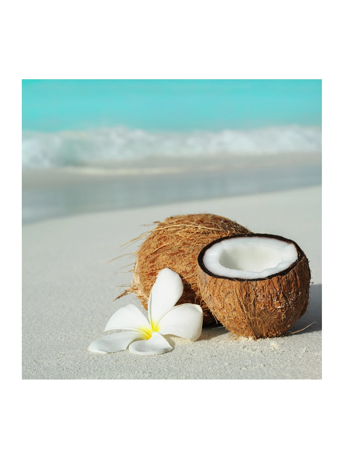 Huiles de Massage : Fleur de Soleil (Monoï-Coco)