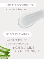 Crème Visage BIO : Crème Cocoon - Hydratante & Régénérante