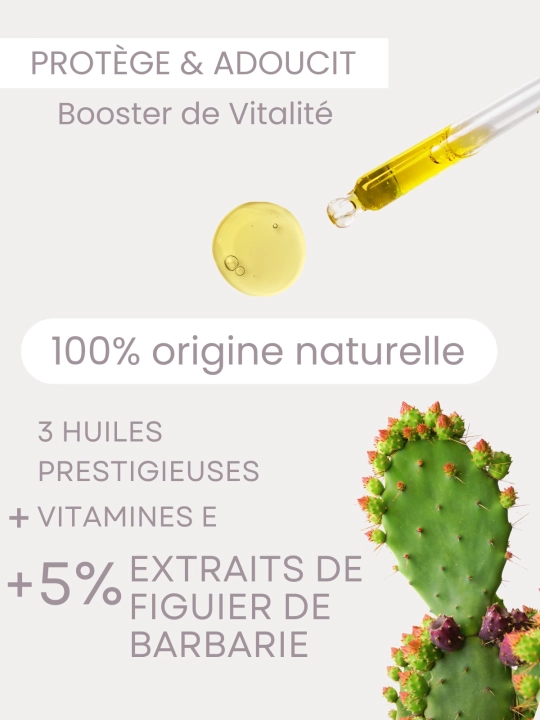 Boutique NOHAM | Sérum Phyto Défense - Sérums