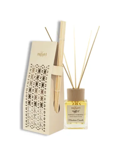 Diffuseur De Parfum LOOAN Bâtonnets – 100ml Ou 280ml – Huile Essentielle Verre