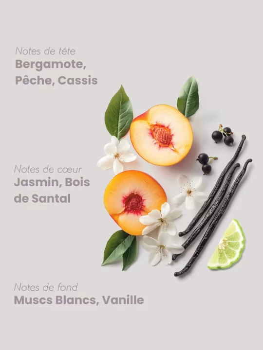 Pyramide Olfactive Babouchka