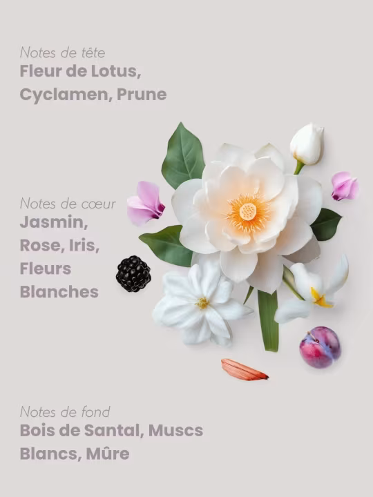 Pyramide Olfactive Fâm