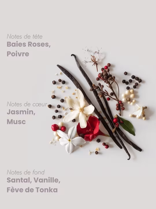 Pyramide Olfactive Lagune