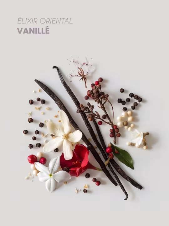 Pyramide Olfactive Lagune