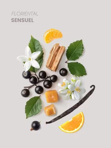 Pyramide Olfactive Naïade