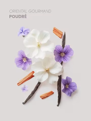 Boutique NOHAM | Ö Glamour - Femme