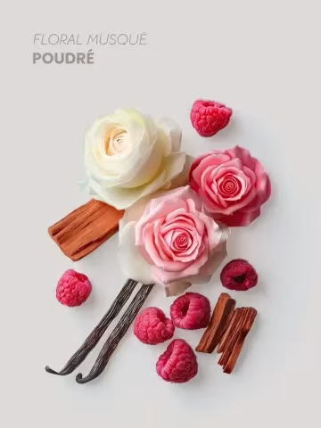 Boutique NOHAM | FrouFrou - Femme