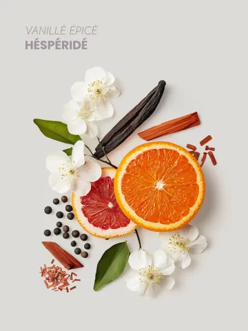 Pyramide Olfactive Moment Idéal