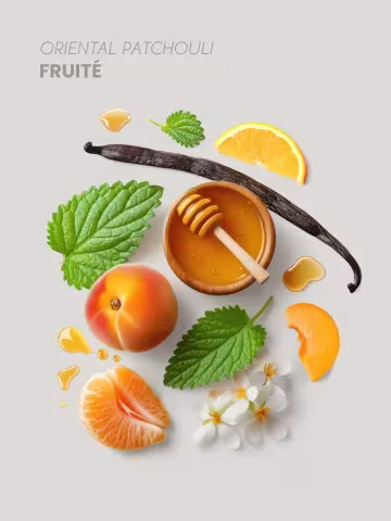 Pyramide Olfactive New Daily