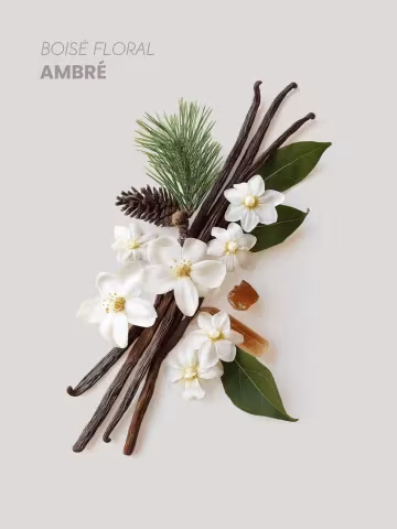 Pyramide Olfactive Quint & Sens