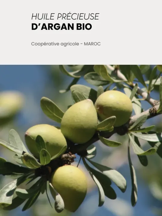 Boutique NOHAM | Lait Démaquillant - Démaquillants & Nettoyants