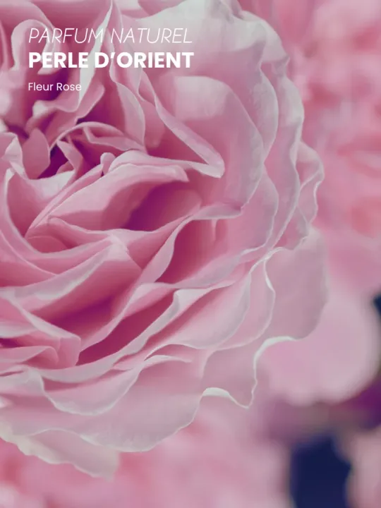 Boutique NOHAM | Huile de Beauté Perle d’Orient - Le Massage