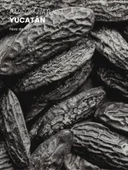 Boutique NOHAM | Huile de Beauté Yucatan - Le Massage