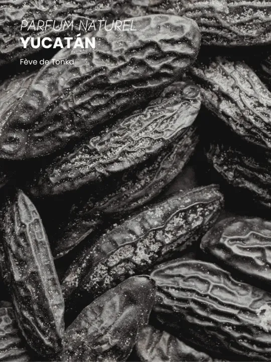 Boutique NOHAM | Huile de Beauté Yucatan - Le Massage