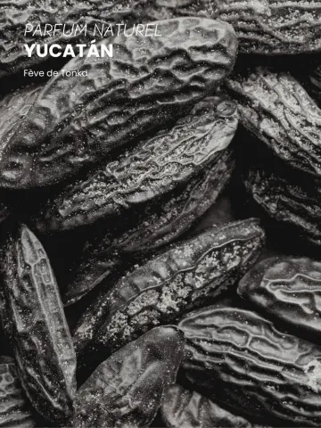 Boutique NOHAM | Huile de Beauté Yucatan - Le Massage