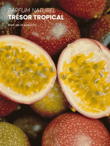 Boutique NOHAM | Huile de Beauté Trésor Tropical - Le Massage