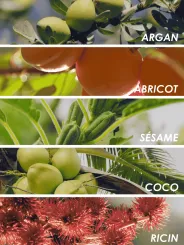 Boutique NOHAM | Huile de Beauté Trésor Tropical - Le Massage