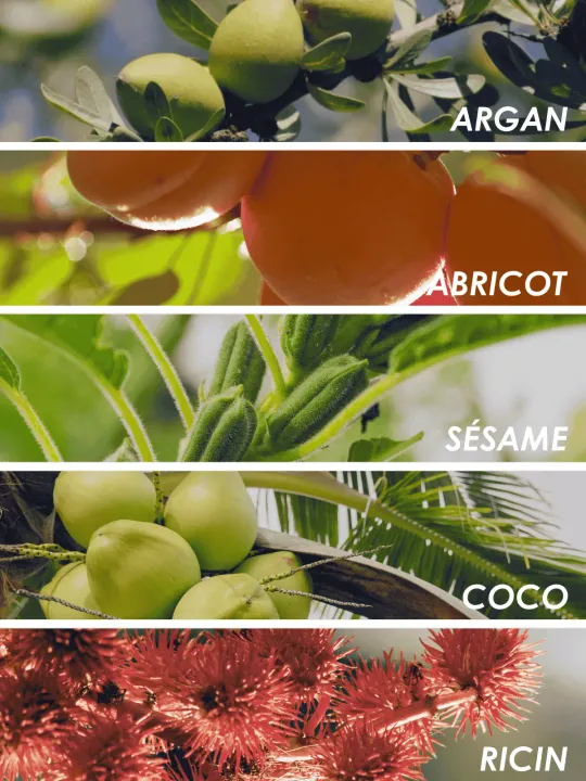 Boutique NOHAM | Huile de Beauté Trésor Tropical - Le Massage