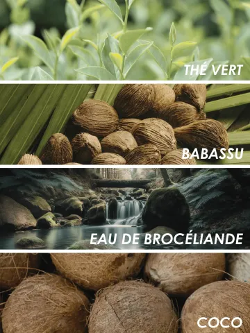 Ingrédients de la mousse nettoyante