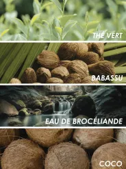 Ingrédients de la mousse nettoyante