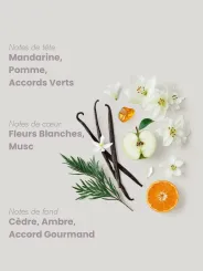 Pyramide Olfactive Addiction