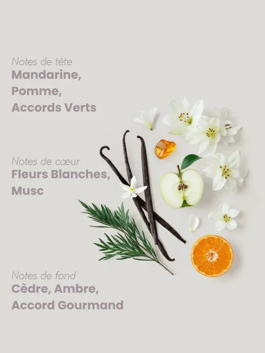 Pyramide Olfactive Addiction