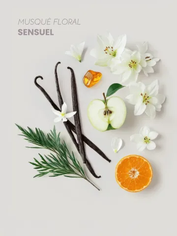 Boutique NOHAM | Addiction - Femme