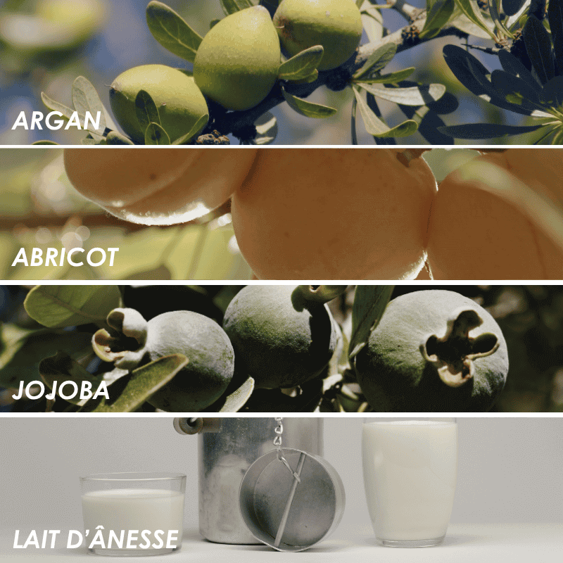 Lait d'ânesse Photo de la ferme de Morgane