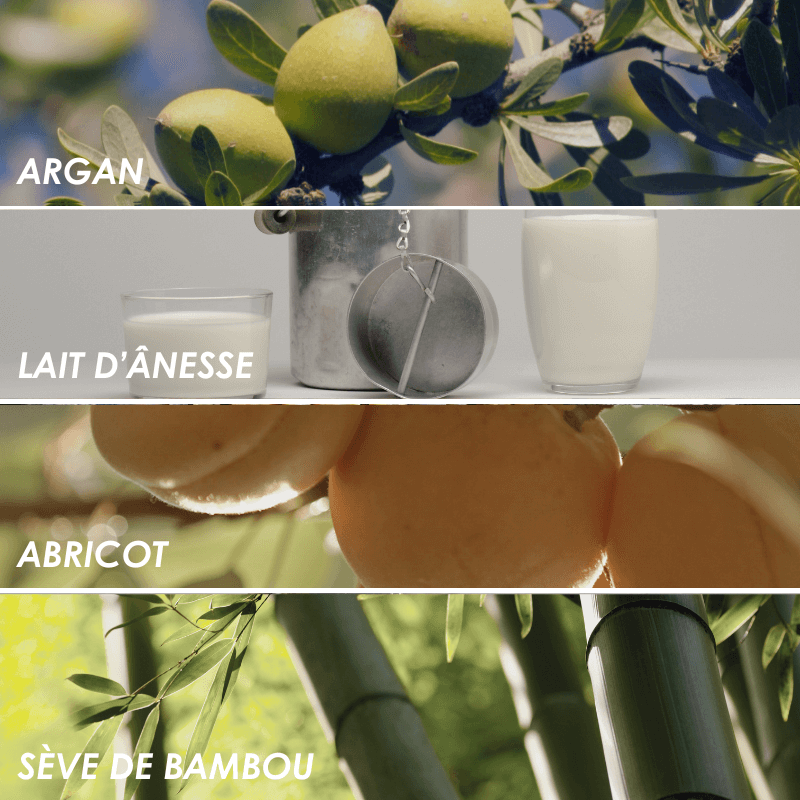 Photo de pruneaux de Gascogne